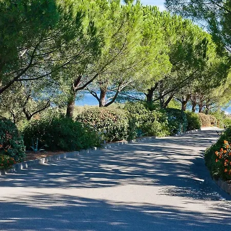 A Suarella Apartment